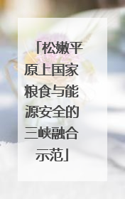 松嫩平原上国家粮食与能源安全的三峡融合示范