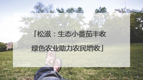 松滋：生态小番茄丰收 绿色农业助力农民增收
