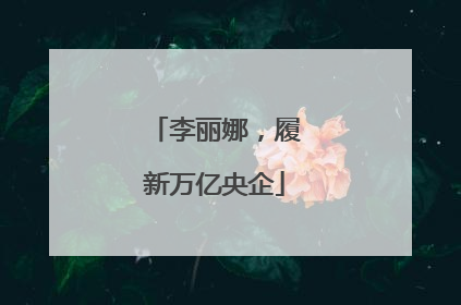 李丽娜，履新万亿央企