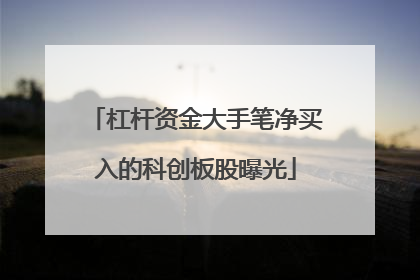 杠杆资金大手笔净买入的科创板股曝光