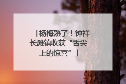杨梅熟了！钟祥长滩镇收获“舌尖上的惊喜”