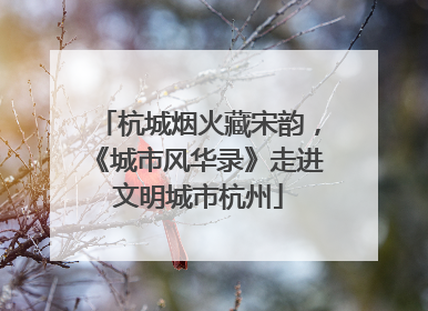 杭城烟火藏宋韵，《城市风华录》走进文明城市杭州
