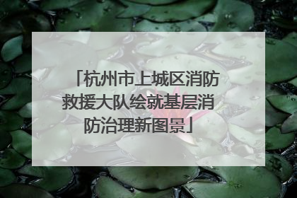 杭州市上城区消防救援大队绘就基层消防治理新图景