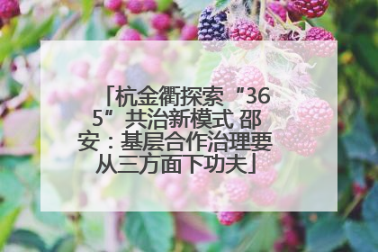 杭金衢探索“365”共治新模式 邵安：基层合作治理要从三方面下功夫
