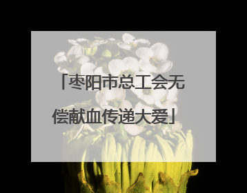 枣阳市总工会无偿献血传递大爱