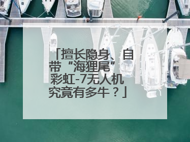擅长隐身、自带“海狸尾” 彩虹-7无人机究竟有多牛？