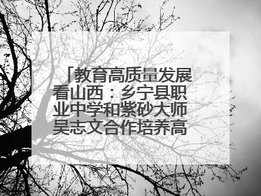 教育高质量发展看山西：乡宁县职业中学和紫砂大师吴志文合作培养高素质技能人才