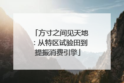 方寸之间见天地：从特区试验田到提振消费引擎