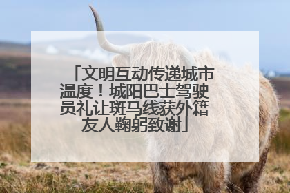 文明互动传递城市温度！城阳巴士驾驶员礼让斑马线获外籍友人鞠躬致谢