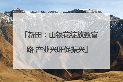 新田：山银花绽放致富路 产业兴旺促振兴