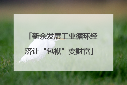 新余发展工业循环经济让“包袱”变财富