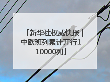 新华社权威快报｜中欧班列累计开行110000列