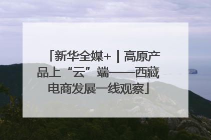 新华全媒+｜高原产品上“云”端——西藏电商发展一线观察