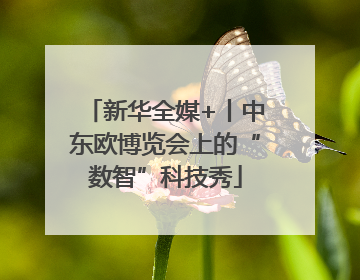 新华全媒+丨中东欧博览会上的“数智”科技秀