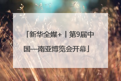 新华全媒+丨第9届中国—南亚博览会开幕