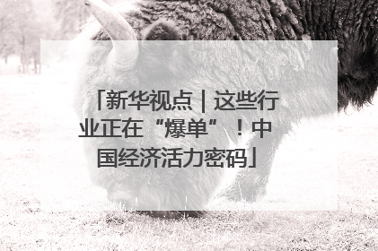 新华视点｜这些行业正在“爆单”！中国经济活力密码