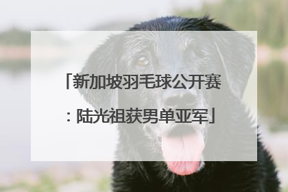 新加坡羽毛球公开赛：陆光祖获男单亚军