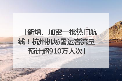 新增、加密一批热门航线！杭州机场暑运客流量预计超910万人次
