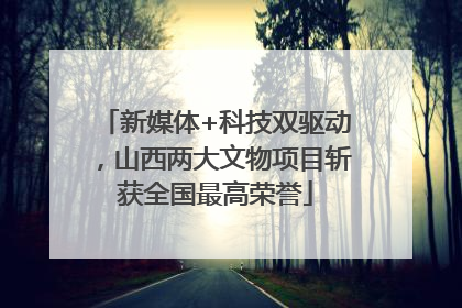 新媒体+科技双驱动，山西两大文物项目斩获全国最高荣誉