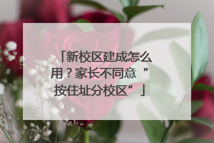 新校区建成怎么用？家长不同意“按住址分校区”