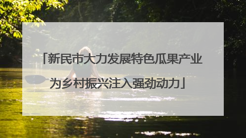 新民市大力发展特色瓜果产业 为乡村振兴注入强劲动力