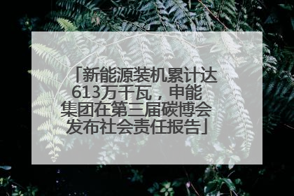 新能源装机累计达613万千瓦，申能集团在第三届碳博会发布社会责任报告