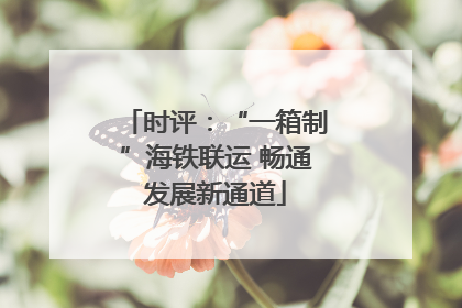 时评：“一箱制”海铁联运 畅通发展新通道