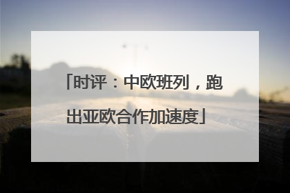 时评：中欧班列，跑出亚欧合作加速度