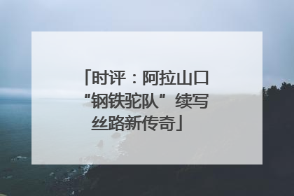 时评：阿拉山口“钢铁驼队”续写丝路新传奇