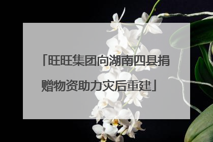 旺旺集团向湖南四县捐赠物资助力灾后重建