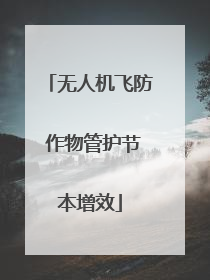 无人机飞防 作物管护节本增效