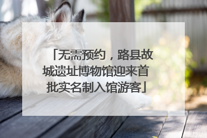 无需预约，路县故城遗址博物馆迎来首批实名制入馆游客