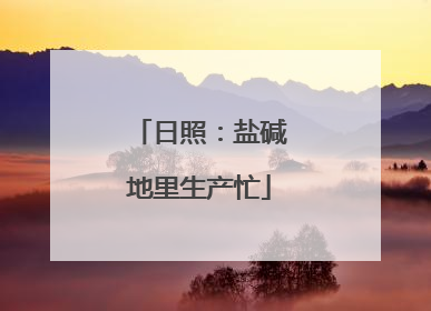 日照：盐碱地里生产忙