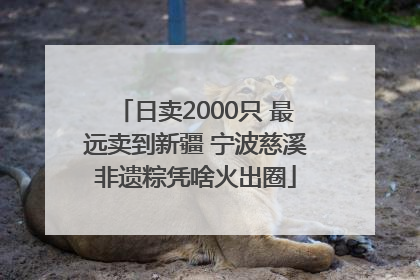 日卖2000只 最远卖到新疆 宁波慈溪非遗粽凭啥火出圈