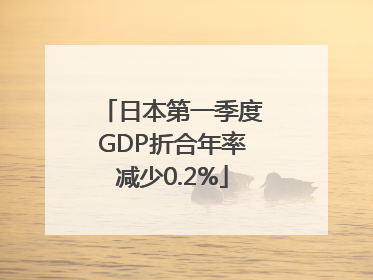 日本第一季度GDP折合年率减少0.2%