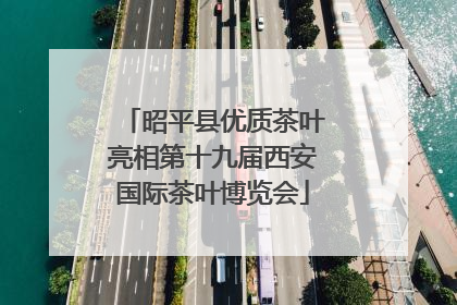 昭平县优质茶叶亮相第十九届西安国际茶叶博览会