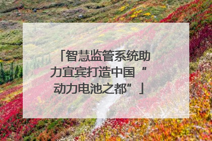 智慧监管系统助力宜宾打造中国“动力电池之都”