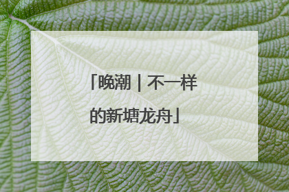 晚潮｜不一样的新塘龙舟