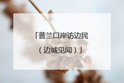 普兰口岸访边民（边城见闻）
