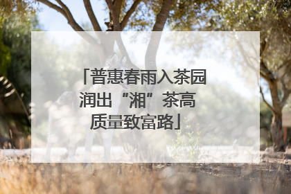 普惠春雨入茶园 润出“湘”茶高质量致富路