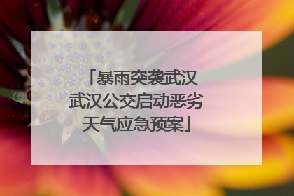 暴雨突袭武汉 武汉公交启动恶劣天气应急预案