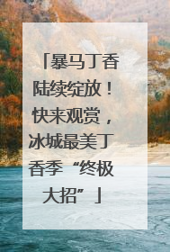 暴马丁香陆续绽放！快来观赏，冰城最美丁香季“终极大招”