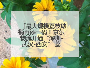 最大规模荔枝助销再添一码！京东物流开通“深圳-武汉-西安” 荔枝全货机航线