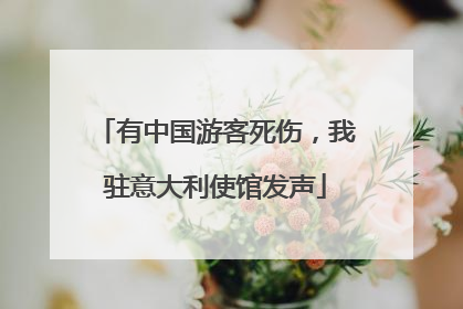 有中国游客死伤，我驻意大利使馆发声