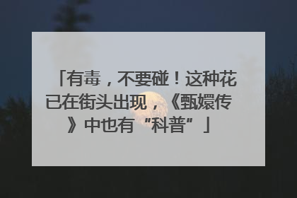 有毒，不要碰！这种花已在街头出现，《甄嬛传》中也有“科普”