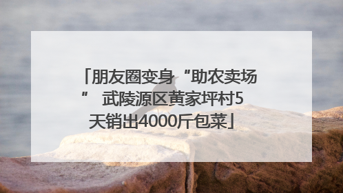 朋友圈变身“助农卖场” 武陵源区黄家坪村5天销出4000斤包菜
