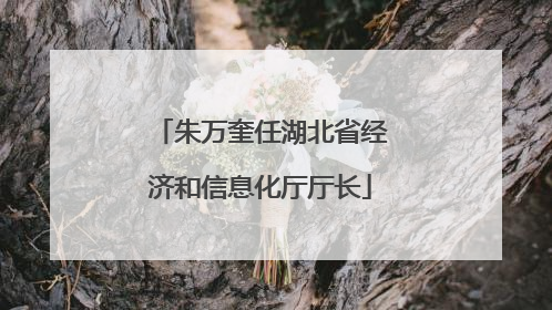 朱万奎任湖北省经济和信息化厅厅长