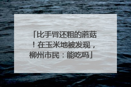 比手臂还粗的蘑菇！在玉米地被发现，柳州市民：能吃吗