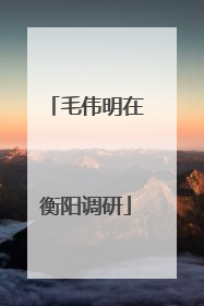 毛伟明在衡阳调研