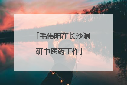毛伟明在长沙调研中医药工作